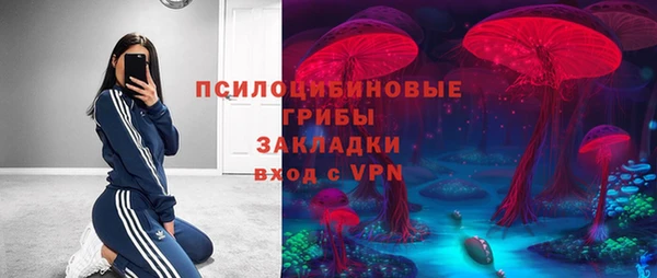 гидра Алзамай