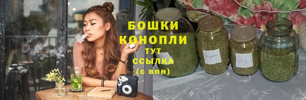 бошки Арсеньев
